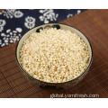 Sorghum Rice Grain Sorghum Rice Grain Factory